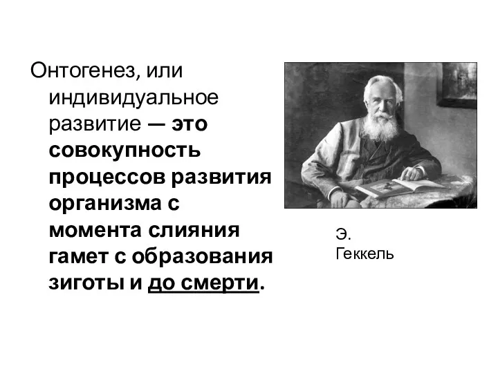 Онтогенез, или индивидуальное развитие — это совокупность процессов развития организма