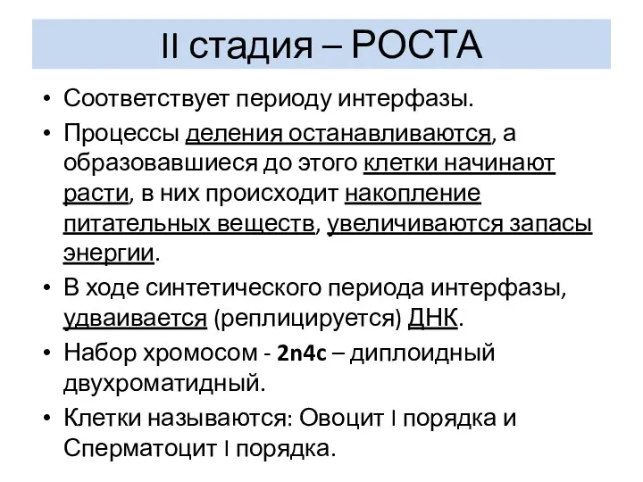 II стадия – РОСТА Соответствует периоду интерфазы. Процессы деления останавливаются,