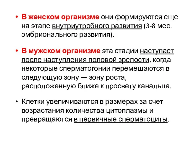 В женском организме они формируются еще на этапе внутриутробного развития