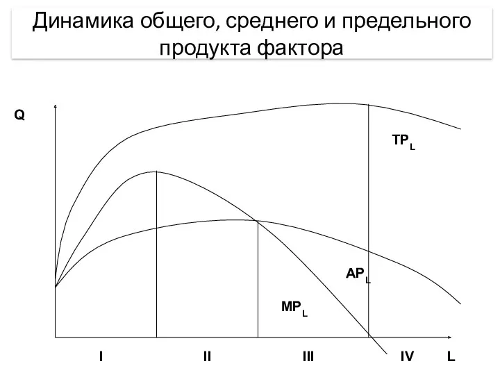 Динамика общего, среднего и предельного продукта фактора