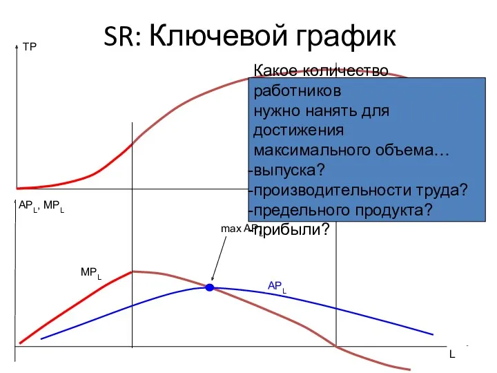 SR: Ключевой график L TP L MPL APL, MPL APL