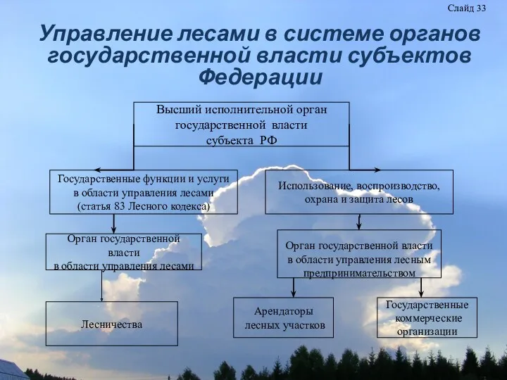 Управление лесами в системе органов государственной власти субъектов Федерации Слайд 33