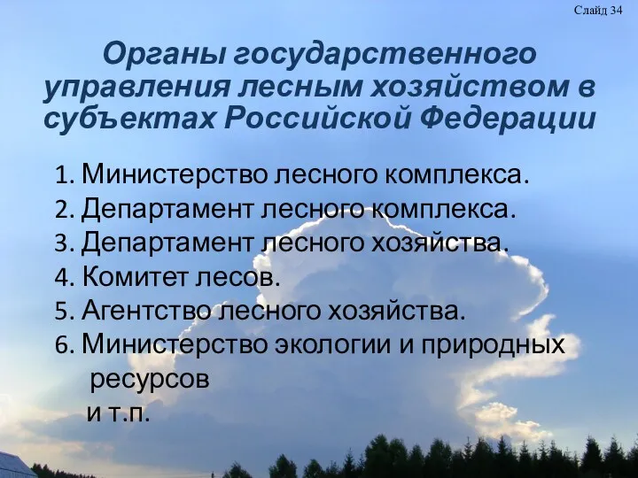 Органы государственного управления лесным хозяйством в субъектах Российской Федерации 1. Министерство лесного комплекса.