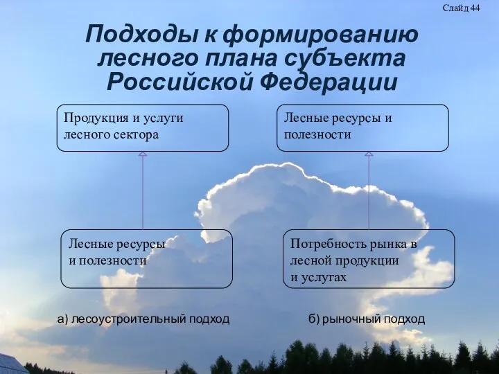 Подходы к формированию лесного плана субъекта Российской Федерации а) лесоустроительный подход б) рыночный