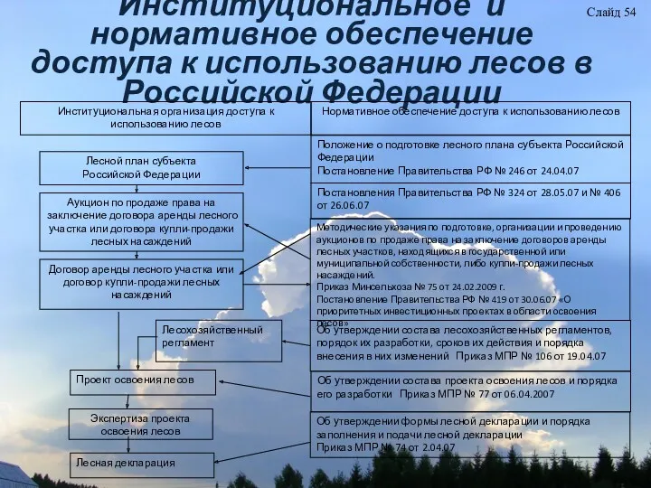 Институциональное и нормативное обеспечение доступа к использованию лесов в Российской Федерации Институциональная организация