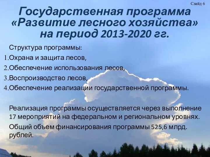 Государственная программа «Развитие лесного хозяйства» на период 2013-2020 гг. Структура программы: Охрана и