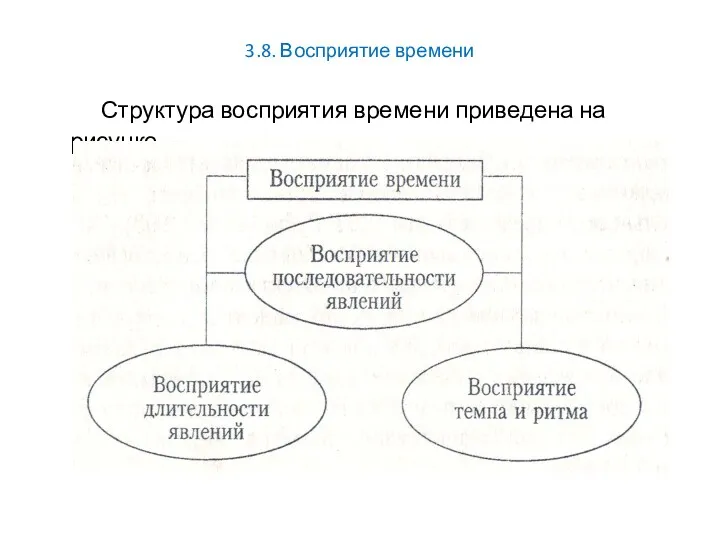 3.8. Восприятие времени Структура восприятия времени приведена на рисунке