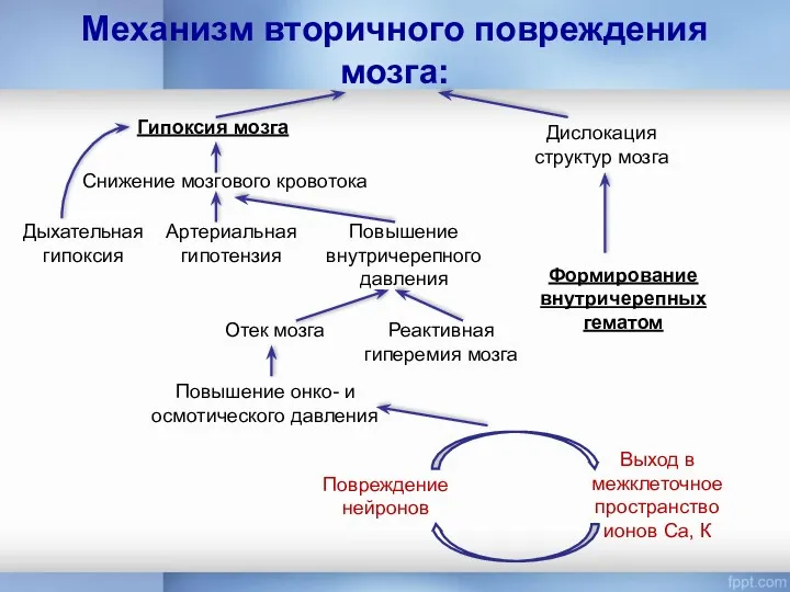 Механизм вторичного повреждения мозга: Гипоксия мозга Формирование внутричерепных гематом Дислокация