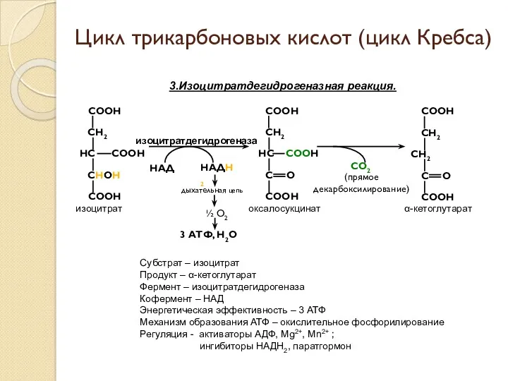 3.Изоцитратдегидрогеназная реакция. оксалосукцинат α-кетоглутарат СО2 (прямое декарбоксилирование) изоцитратдегидрогеназа Цикл трикарбоновых