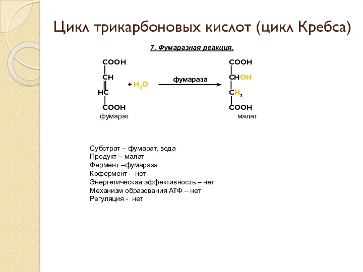 7. Фумаразная реакция. + Н2О фумараза Цикл трикарбоновых кислот (цикл Кребса) Субстрат –