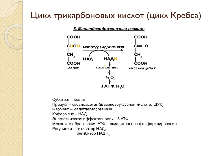8. Малатдегидрогеназная реакция. Цикл трикарбоновых кислот (цикл Кребса) Субстрат – малат Продукт –