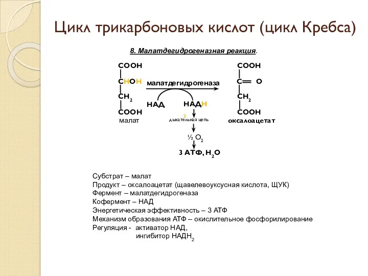 8. Малатдегидрогеназная реакция. Цикл трикарбоновых кислот (цикл Кребса) Субстрат –