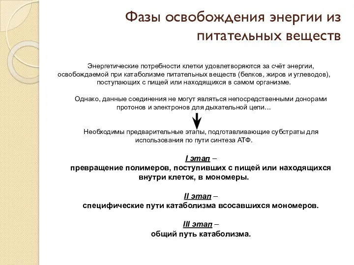 Фазы освобождения энергии из питательных веществ Энергетические потребности клетки удовлетворяются