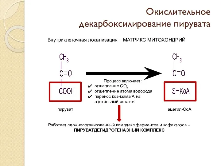 Окислительное декарбоксилирование пирувата Внутриклеточная локализация – МАТРИКС МИТОХОНДРИЙ Процесс включает: