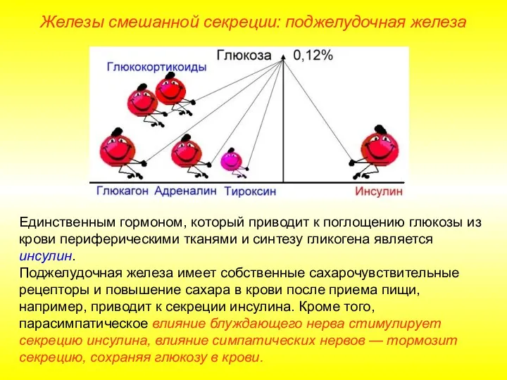 Единственным гормоном, который приводит к поглощению глюкозы из крови периферическими