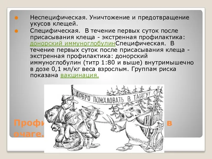 Профилактика и мероприятия в очаге. Неспецифическая. Уничтожение и предотвращение укусов