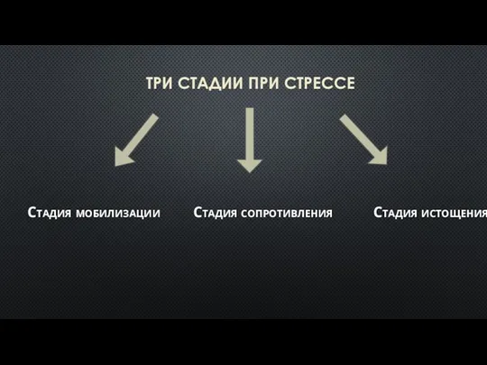 ТРИ СТАДИИ ПРИ СТРЕССЕ Стадия мобилизации Стадия сопротивления Стадия истощения