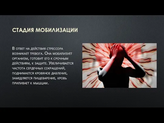 СТАДИЯ МОБИЛИЗАЦИИ В ответ на действия стрессора возникает тревога. Она