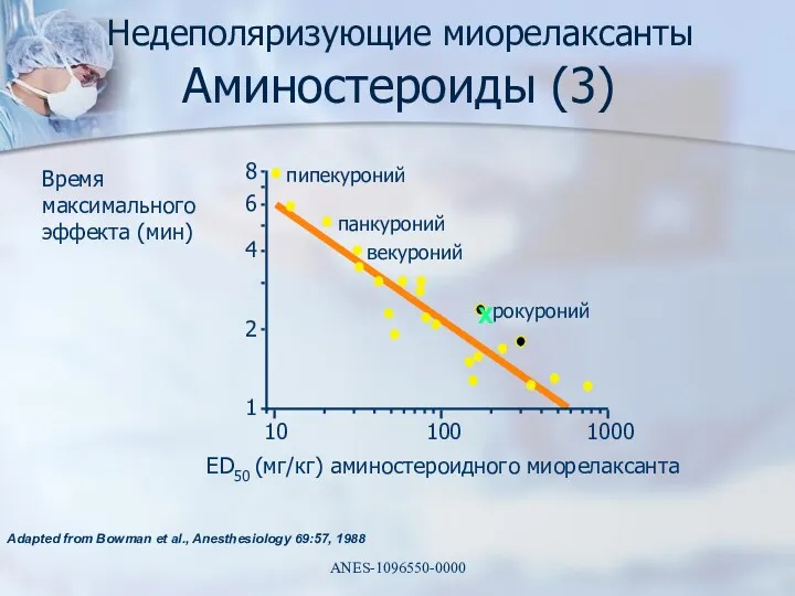 Adapted from Bowman et al., Anesthesiology 69:57, 1988 Время максимального