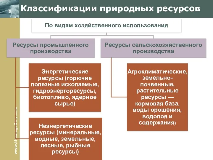 Классификации природных ресурсов