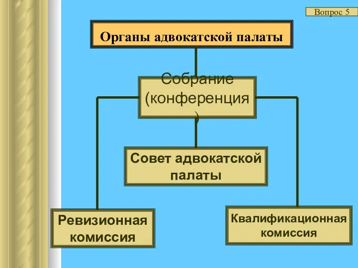 Органы адвокатской палаты Вопрос 5 Собрание (конференция) Совет адвокатской палаты Ревизионная комиссия Квалификационная комиссия