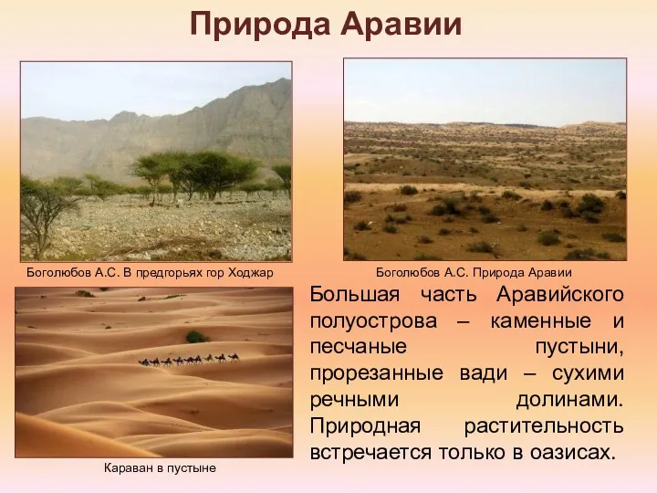 Природа Аравии Большая часть Аравийского полуострова – каменные и песчаные