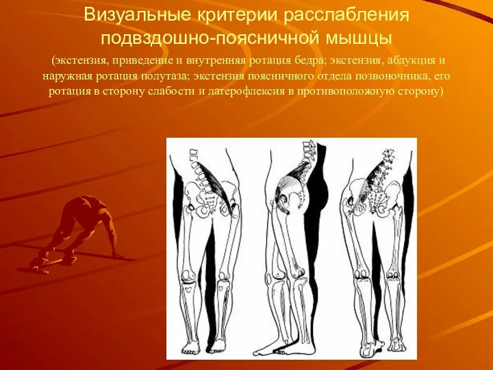 Визуальные критерии расслабления подвздошно-поясничной мышцы (экстензия, приведение и внутренняя ротация бедра; экстензия, абдукция