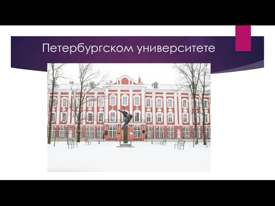 Петербургском университете