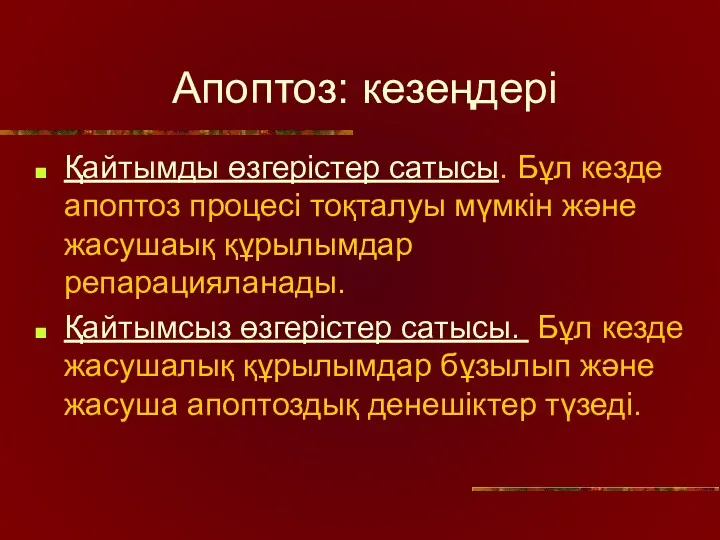 Апоптоз: кезеңдері Қайтымды өзгерістер сатысы. Бұл кезде апоптоз процесі тоқталуы