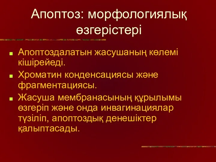 Апоптоз: морфологиялық өзгерістері Апоптоздалатын жасушаның көлемі кішірейеді. Хроматин конденсациясы және