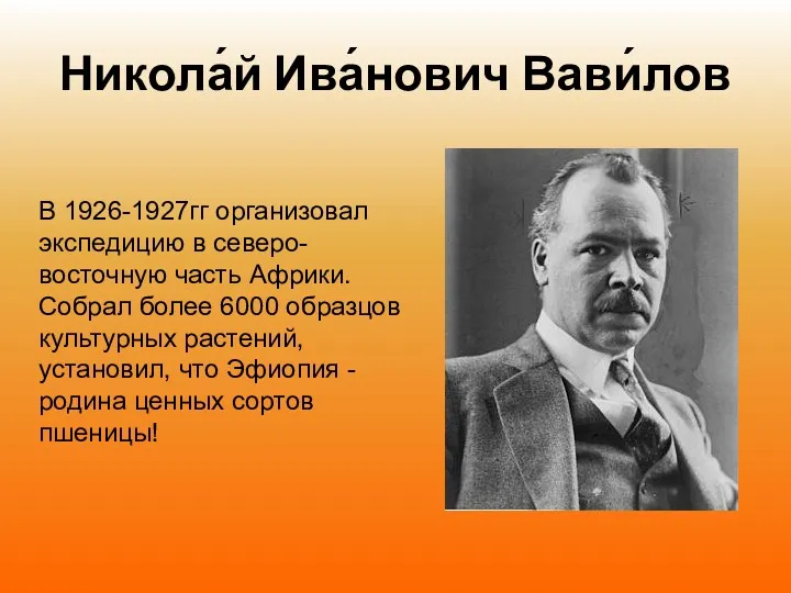 Никола́й Ива́нович Вави́лов В 1926-1927гг организовал экспедицию в северо-восточную часть