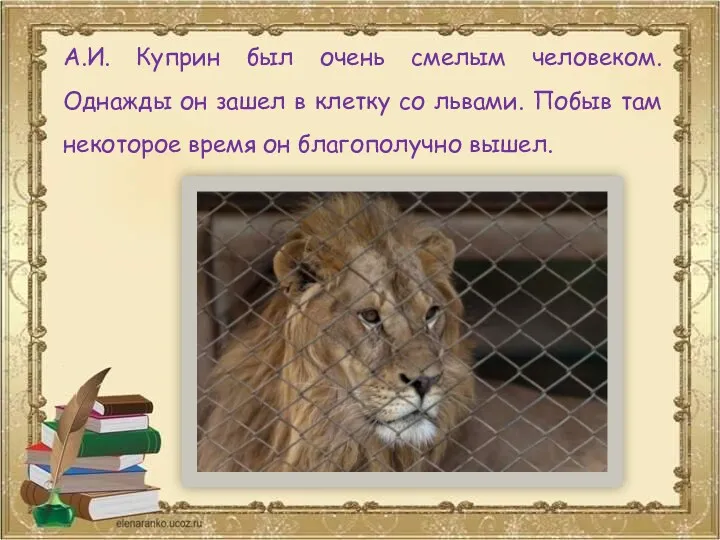 А.И. Куприн был очень смелым человеком. Однажды он зашел в клетку со львами.