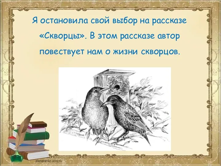 Я остановила свой выбор на рассказе «Скворцы». В этом рассказе автор повествует нам о жизни скворцов.