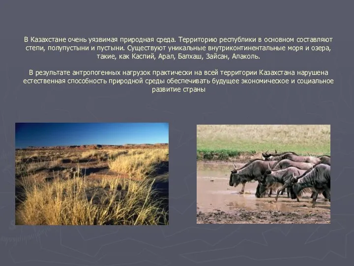 В Казахстане очень уязвимая природная среда. Территорию республики в основном