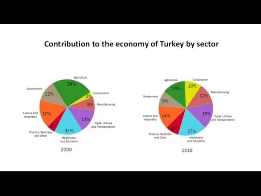 Contribution to the economy of Turkey by sector
