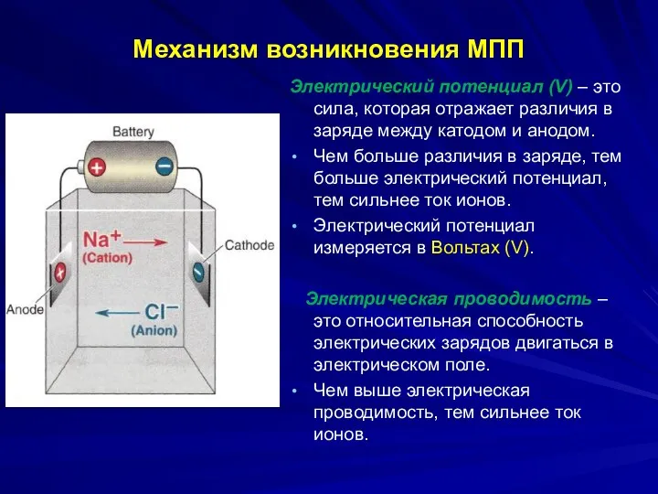 Механизм возникновения МПП Электрический потенциал (V) – это сила, которая
