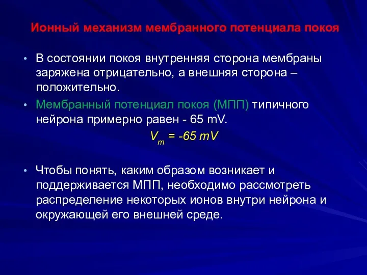 Ионный механизм мембранного потенциала покоя В состоянии покоя внутренняя сторона