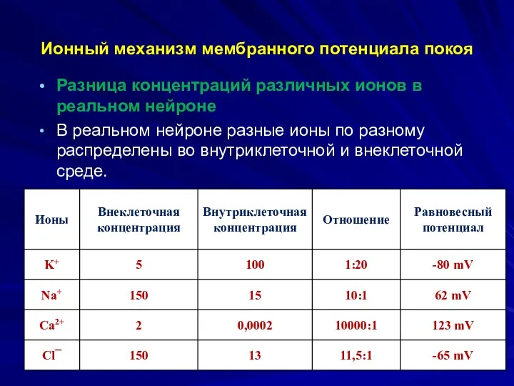 Ионный механизм мембранного потенциала покоя Разница концентраций различных ионов в