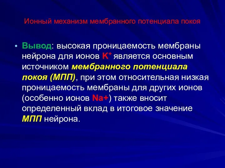 Ионный механизм мембранного потенциала покоя Вывод: высокая проницаемость мембраны нейрона