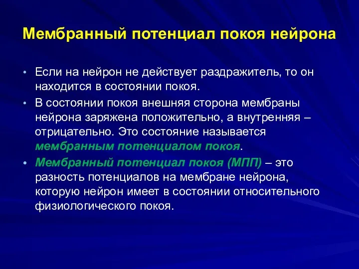 Мембранный потенциал покоя нейрона Если на нейрон не действует раздражитель,