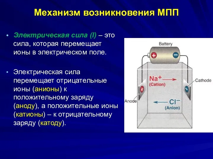 Механизм возникновения МПП Электрическая сила (I) – это сила, которая