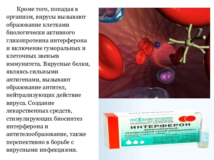 Кроме того, попадая в организм, вирусы вызывают образование клетками биологически