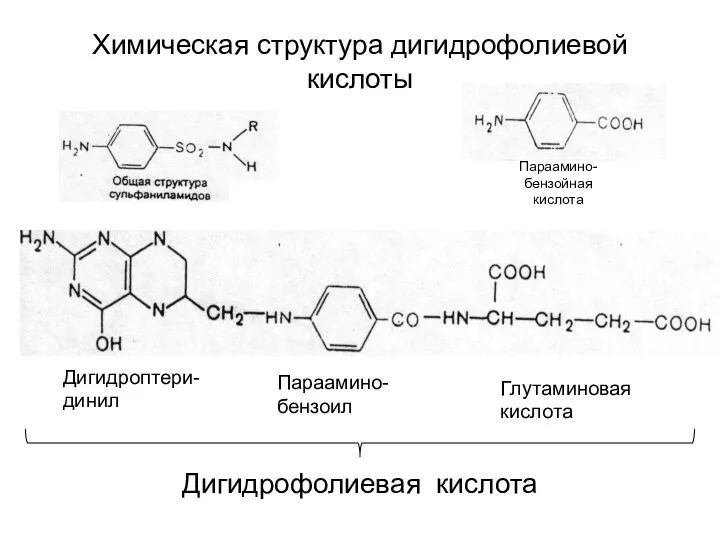 Химическая структура дигидрофолиевой кислоты Дигидрофолиевая кислота
