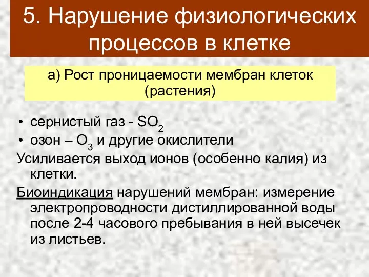 5. Нарушение физиологических процессов в клетке сернистый газ - SO2