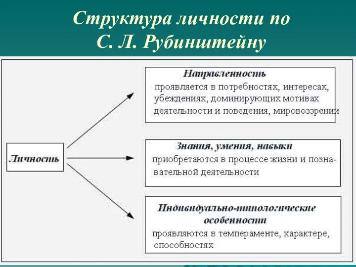 Структура личности по С. Л. Рубинштейну