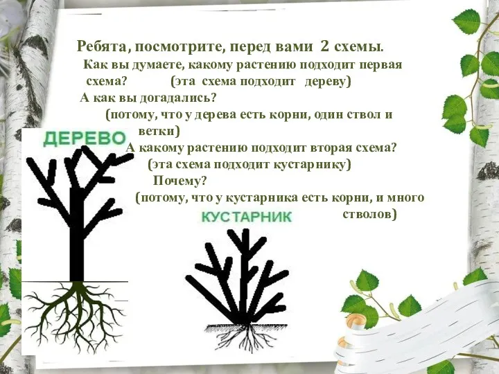 Ребята, посмотрите, перед вами 2 схемы. Как вы думаете, какому