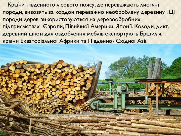 Країни південного лісового поясу, де переважають листяні породи, вивозять за