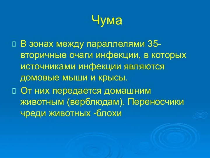 Чума В зонах между параллелями 35- вторичные очаги инфекции, в