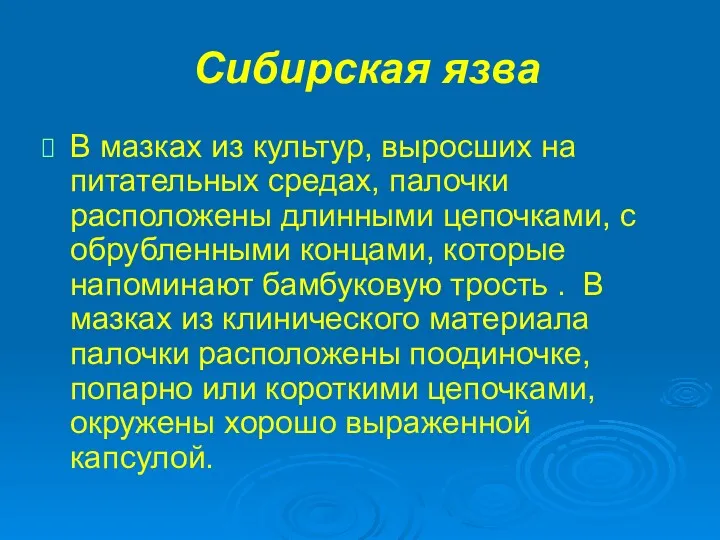 Сибирская язва В мазках из культур, выросших на питательных средах,