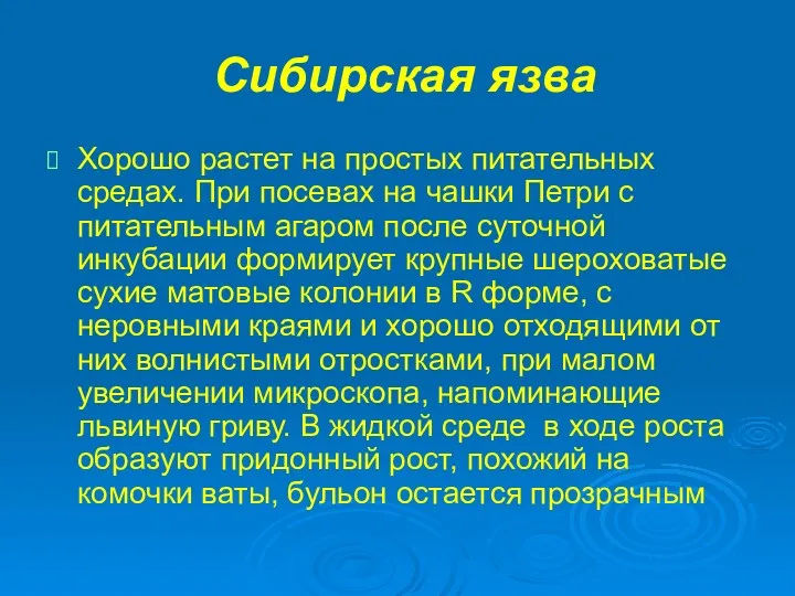 Сибирская язва Хорошо растет на простых питательных средах. При посевах